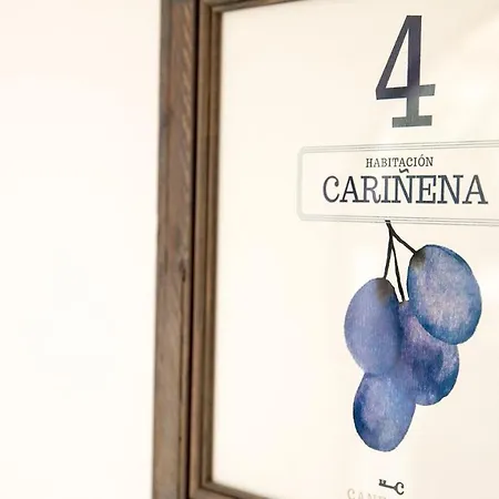 Boutique Canelobre Hotel
