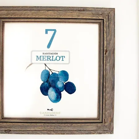 Hotel Boutique Canelobre